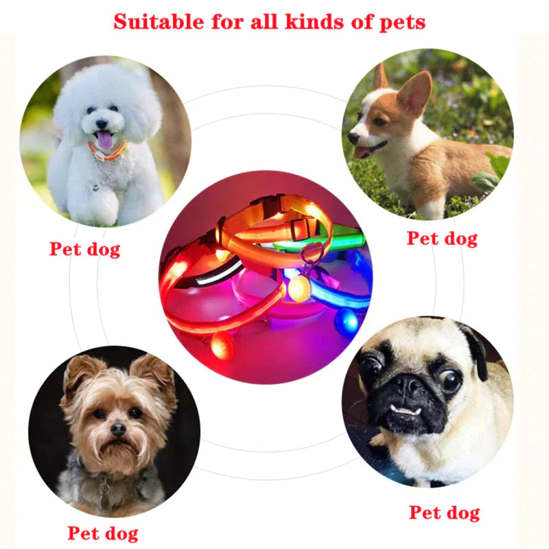 Adjustable LED Dog Collar with Blinking Flashing Light for Enhanced Pet Safety and Waterproof Design