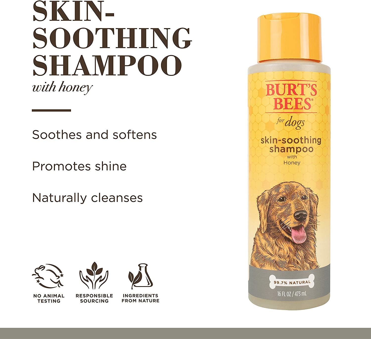 Naturally Derived Skin Soothing Shampoo with Honey - Dog Shampoo for All Dogs and Puppies - Safe for Dogs with Dry and Sensitive Skin - Made in USA, 16 Ounces