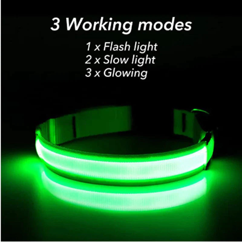 Adjustable LED Dog Collar with Blinking Flashing Light for Enhanced Pet Safety and Waterproof Design