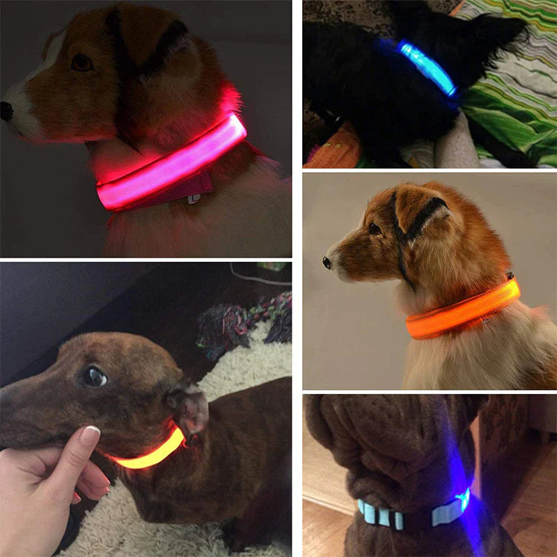 Adjustable LED Dog Collar with Blinking Flashing Light for Enhanced Pet Safety and Waterproof Design