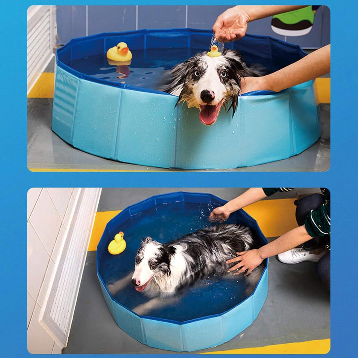 Dog Pool Foldable Pet Outdoor Swimming Pool Collapsible Anti-Slip Hard PVC Pet Paddling Bathtub for Large and Xtra Large Dogs, Kids, Pets((63'' * 12'')/(160Cm X 30Cm))